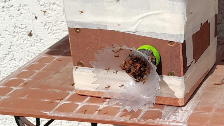 Statt Langeweile ein neues Projekt