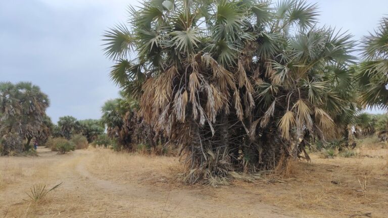 Einsatz im Flüchtlingslager